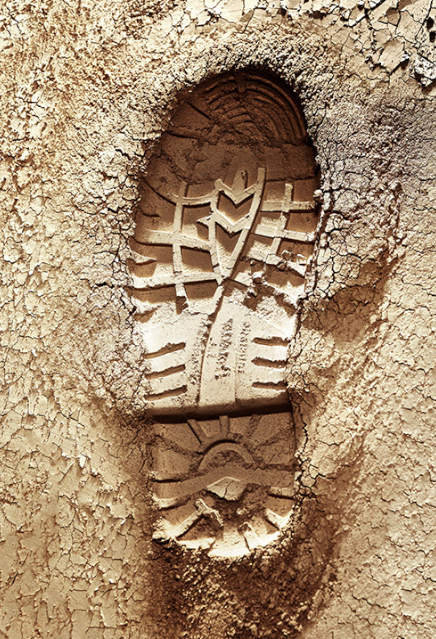 Nowy model w ofercie.